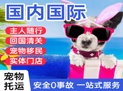庆阳航空快运国际宠物托运 【国